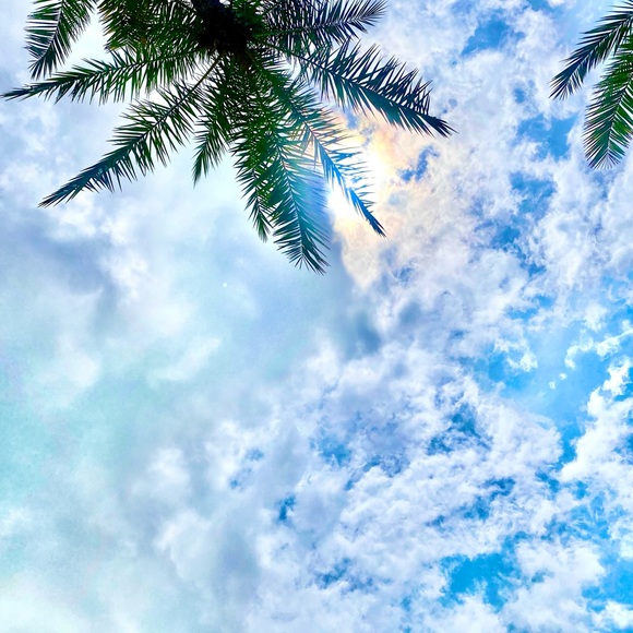 Meet your Posher, Alex - Picture 4 of 8